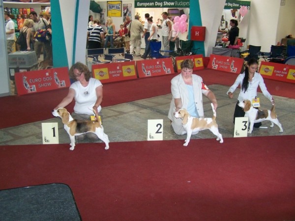 kliknutím zavřete okno