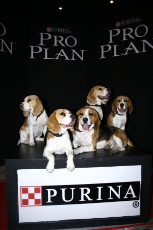 kliknutím zavřete okno