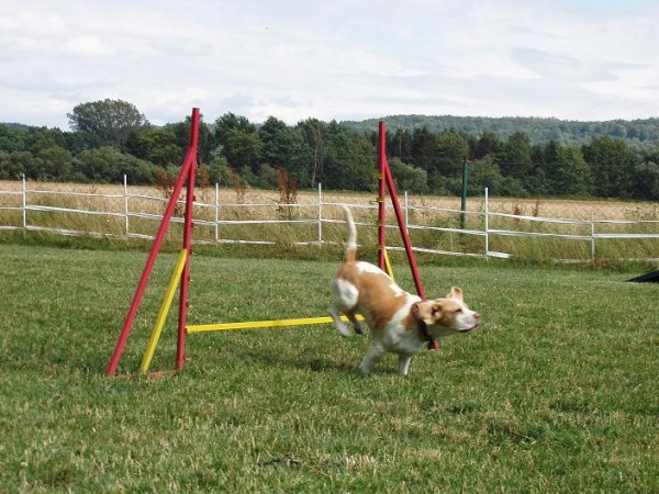 cíl druhého závodu