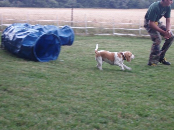 kliknutím zavřete okno