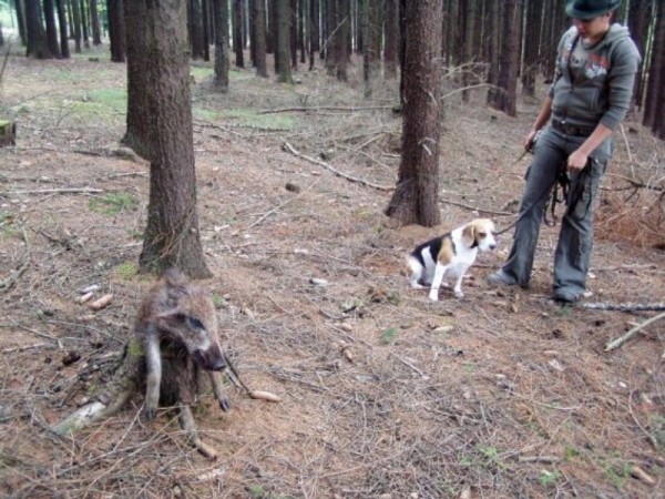 kliknutím zavřete okno