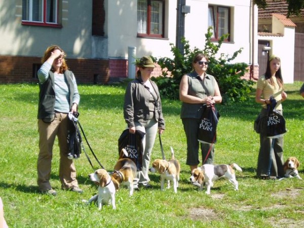 kliknutím zavřete okno