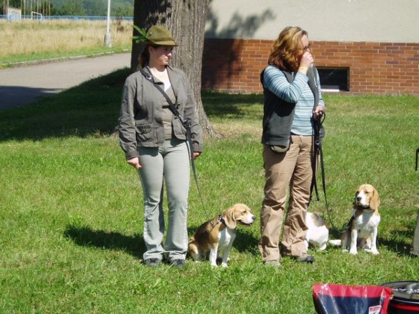 Vyhlášení výsledků A