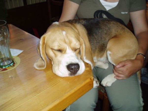 Únava po zkouškách