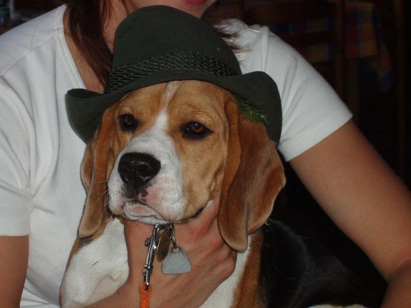 kliknutím zavřete okno