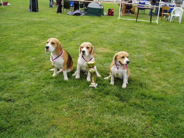 kliknutím zavřete okno