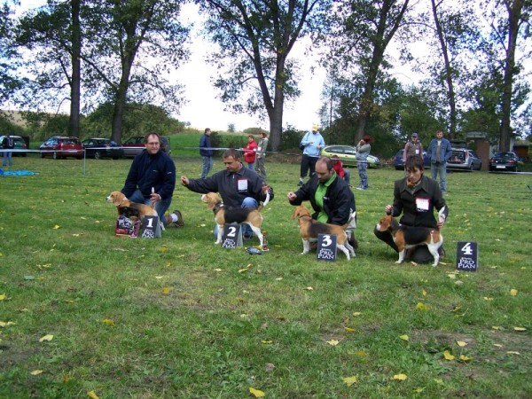 Třída otevřená-umístění