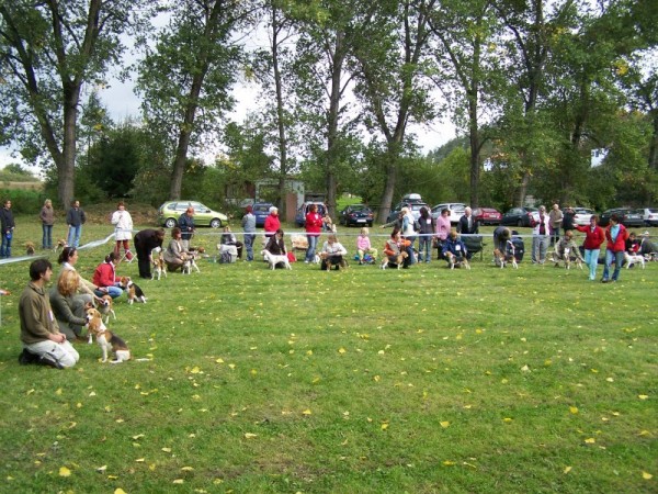 třida mladých - feny