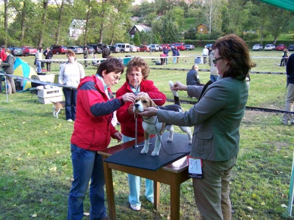 kliknutím zavřete okno