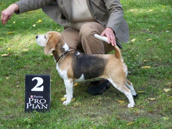 kliknutím zavřete okno