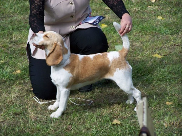 kliknutím zavřete okno