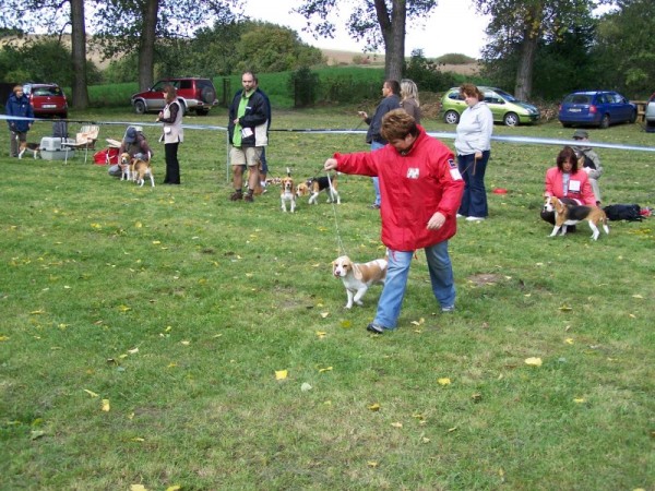 kliknutím zavřete okno
