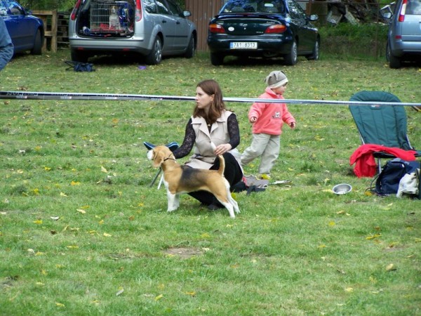 kliknutím zavřete okno
