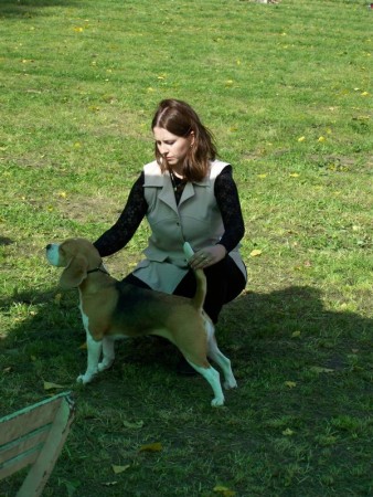 kliknutím zavřete okno