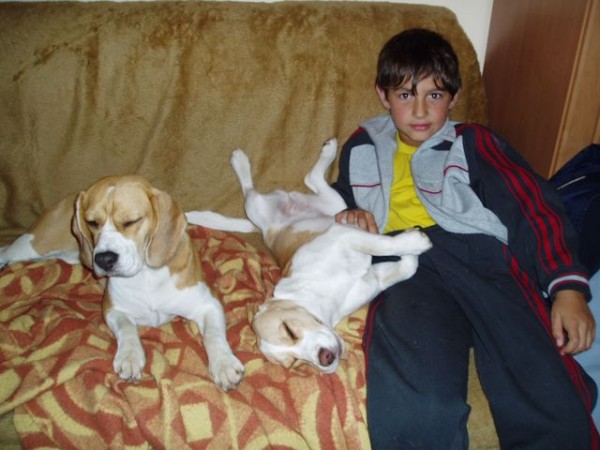 kliknutím zavřete okno