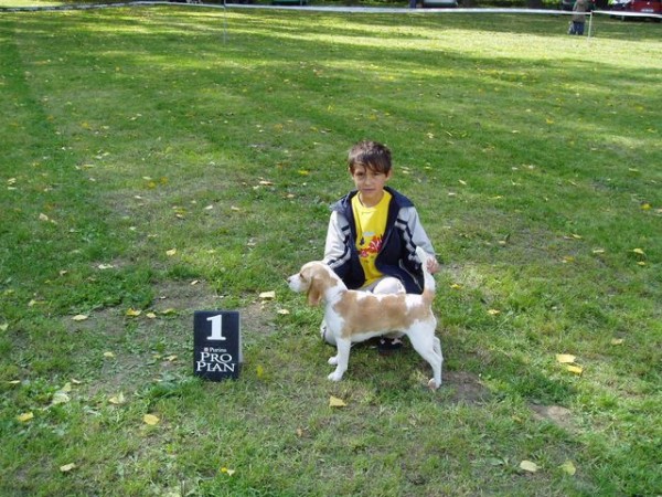 kliknutím zavřete okno