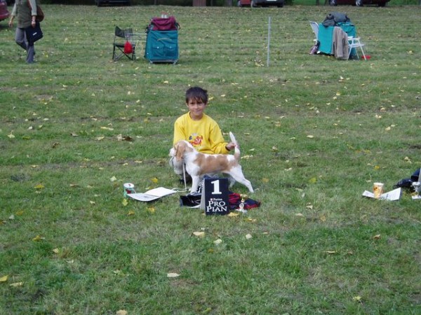 soutěž Dítě a bígl - nakonec 1.místo