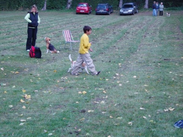 soutěž Dítě a bígl - chůze