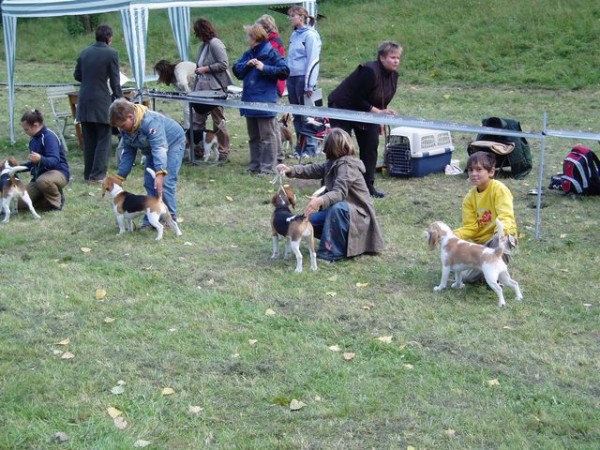 kliknutím zavřete okno