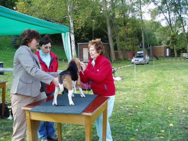 kliknutím zavřete okno