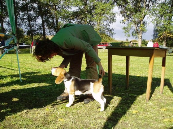 kliknutím zavřete okno