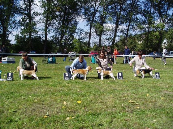 nejkrásnější dorostenky