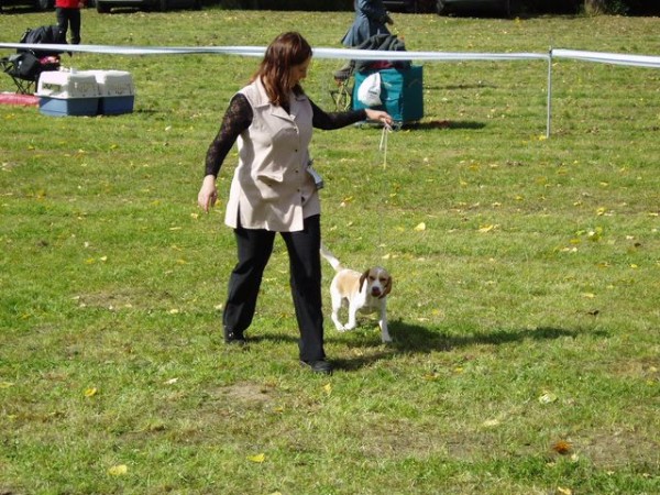 Jessie se předvádí