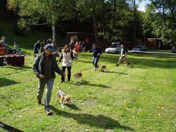 Denny dokolečka dokola