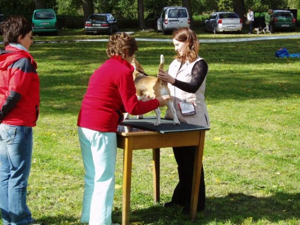 Denča se na stůl dokonce těšila