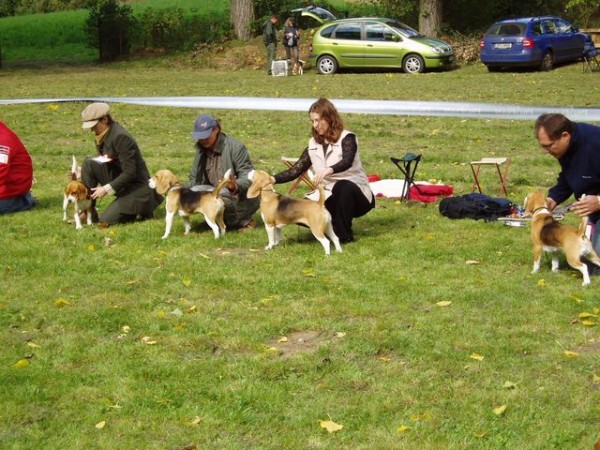 kliknutím zavřete okno