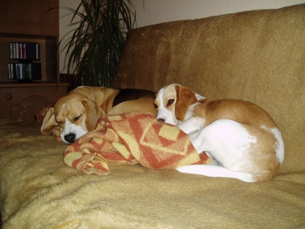 kliknutím zavřete okno