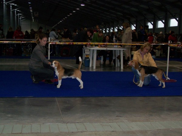 kliknutím zavřete okno