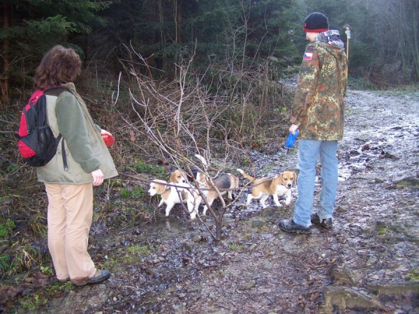 kliknutím zavřete okno
