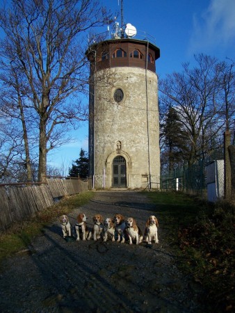 To jsem ale důležití