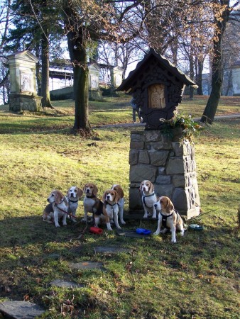 kliknutím zavřete okno