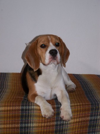 kliknutím zavřete okno