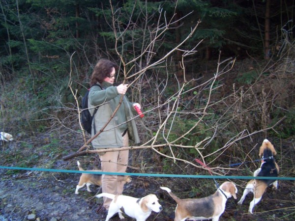 Příroda je samá překážka