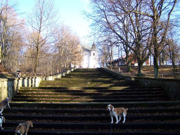 kliknutím zavřete okno