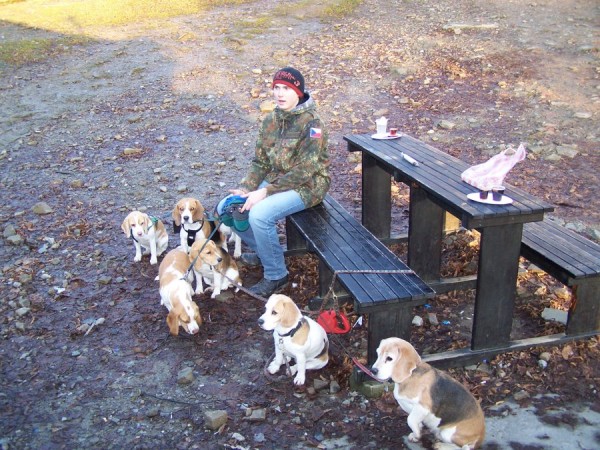 kliknutím zavřete okno