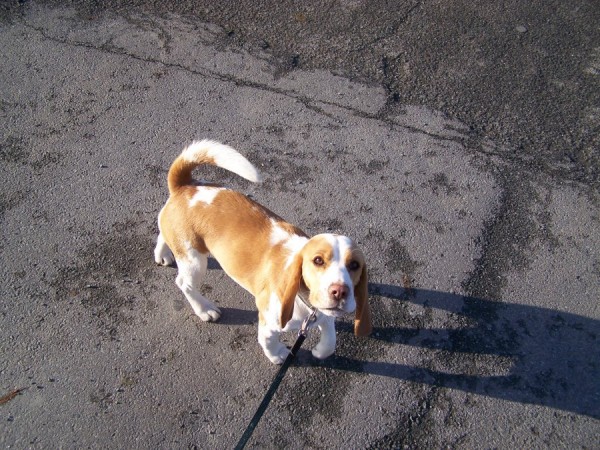 kliknutím zavřete okno