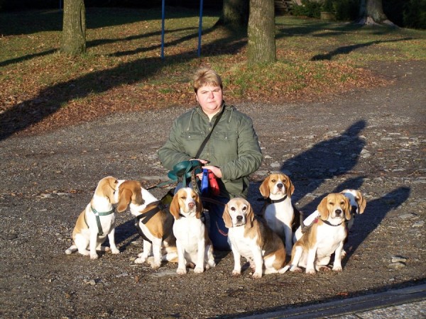 kliknutím zavřete okno