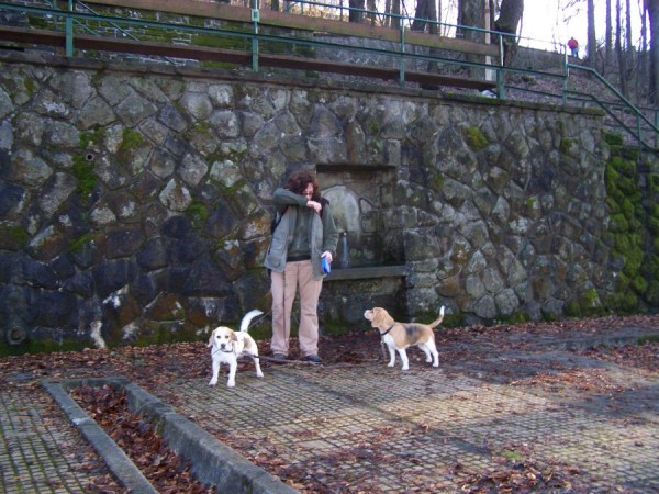 kliknutím zavřete okno