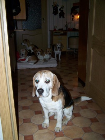 kliknutím zavřete okno