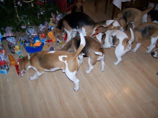 kliknutím zavřete okno