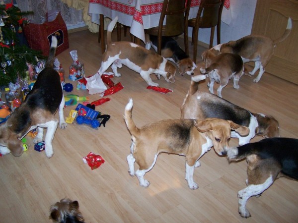 kliknutím zavřete okno