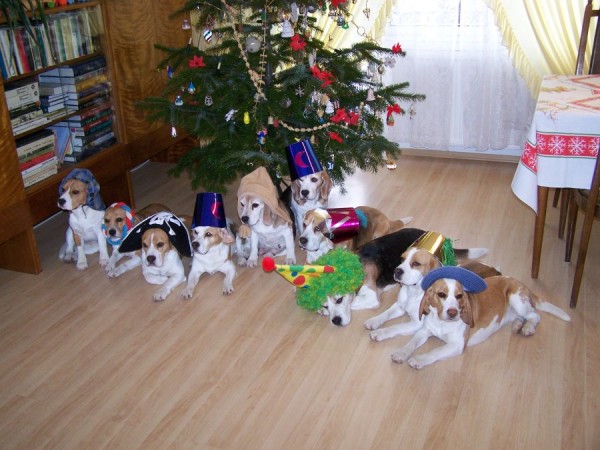 kliknutím zavřete okno