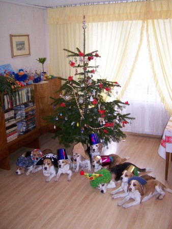 kliknutím zavřete okno