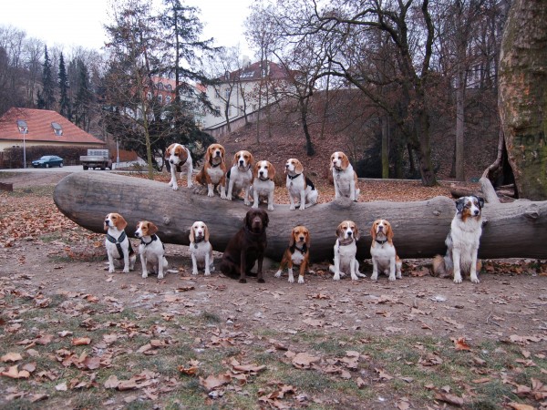 kliknutím zavřete okno