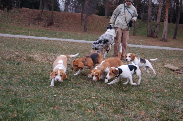 to říkám, ještě nám to sežere, blondýna jedna :-)))