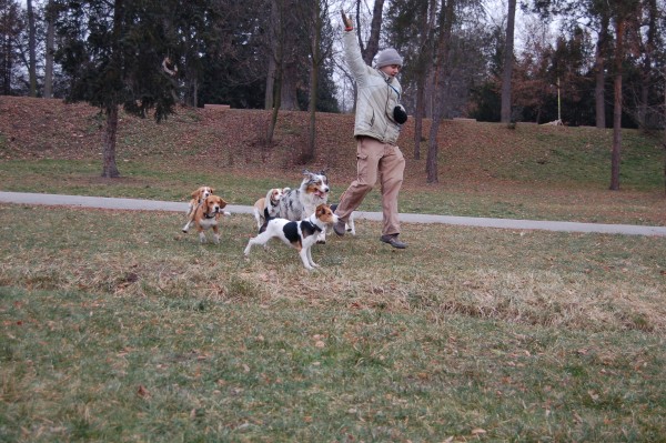 hopsa hejsa do Brandejsa, vlastně prd .. za Martým :-D